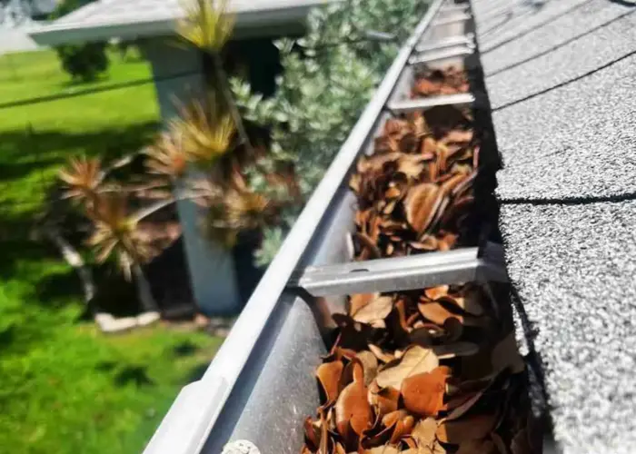 Whitehall gutter cleaning home page